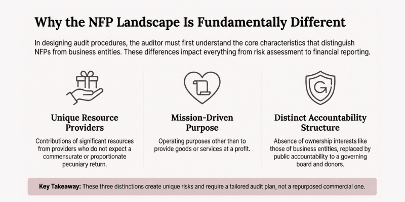 How does the primary focus of NFPs differ from that of businesses
