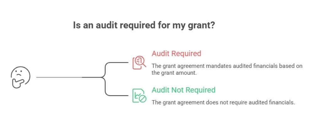 Government and corporate grant audit triggers for nonprofits